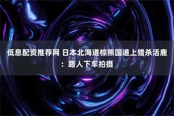 低息配资推荐网 日本北海道棕熊国道上猎杀活鹿：路人下车拍摄